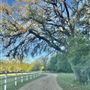 Sky Creek Farm