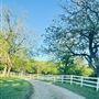 Sky Creek Farm