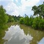 Buffalo Bayou Park