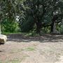 Buffalo Bayou Park