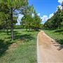 Buffalo Bayou Park