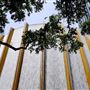 Gerald Hines Waterwall Park