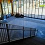 Lynn Wyatt Square for the Performing Arts (LWS)