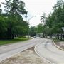 Vivaverse Campus
