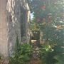 Frances House