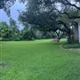 Frances House