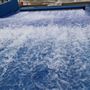 Surf & Swim