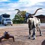 Legacy Longhorn Ranch