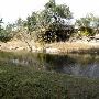 Enchanted Springs Ranch