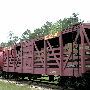 Texas State Railroad