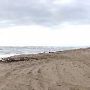Boca Chica Beach & Dunes