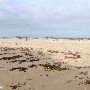 Boca Chica Beach & Dunes