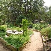 Zilker Botanical Gardens