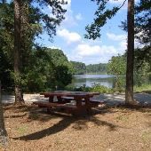 Davy Crockett National Forest