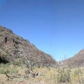 Kokernot o6 Ranch