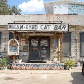 Mean Eyed Cat