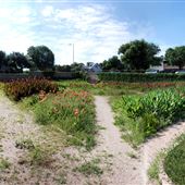 Sunken Garden Park
