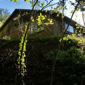 The Living Laboratory House