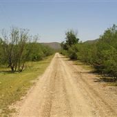 Jamerson Property