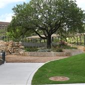 Waterloo Park