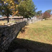Hidden Springs Ranch