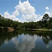 Lake Bastrop