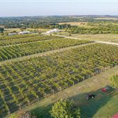 Red Wing Dove Winery