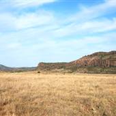 CF Ranch