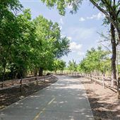 Dr. Robert Cluck Linear Park