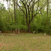 Bold Springs Cemetery