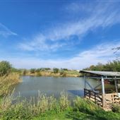 Historic Hidalgo District Fishing Lake