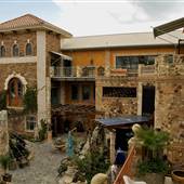 The Oasis