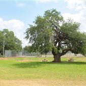 Floresville River City Park