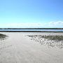Mustang Island State Park Bay Side