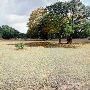 Storm Ranch