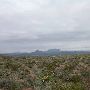 Big Bend National Park