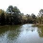 Lake Bastrop