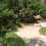 Dinosaur Valley State Park