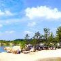 Blue Lagoon