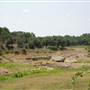 Turkey Bend Recreation Area