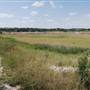 Gloster Bend Recreation Area
