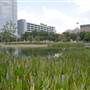 Discovery Green