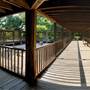 Fort Worth Botanic Garden - Japanese Garden