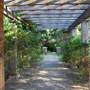 Fort Worth Botanic Garden - Rose Garden