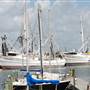 Port of Palacios