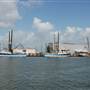 Port of Palacios