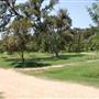 Pease District Park