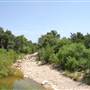 Pease District Park