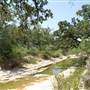 Pease District Park