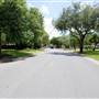 Palm Boulevard Neighborhood